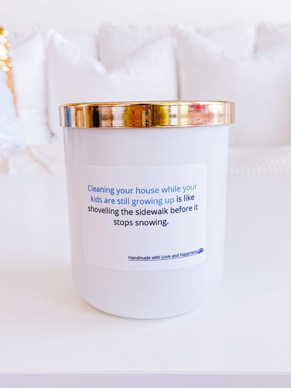 Alexa.....Clean The House